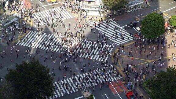 时间流逝鸟瞰图涉谷十字在东京日本