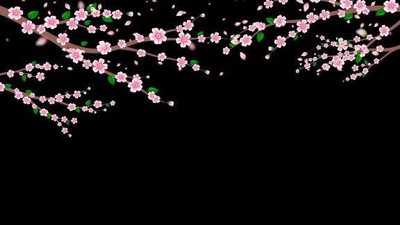 粉色樱花动画