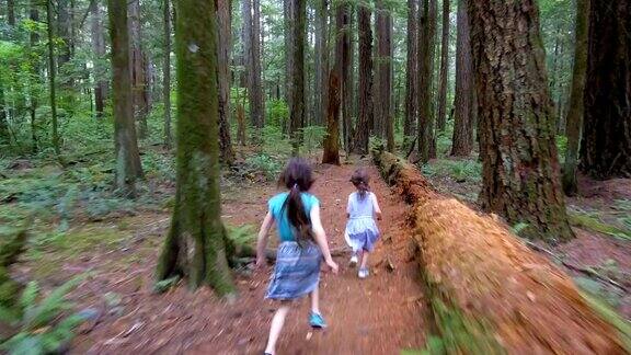 姐妹们跟着摄像机跑过森林