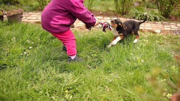兴奋的小女孩和她的杂种狗在后院玩接球