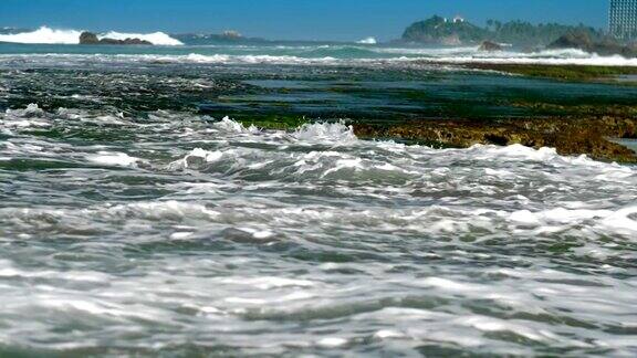 蓝色的海浪带着白色的泡沫冲刷着绿色的海藻