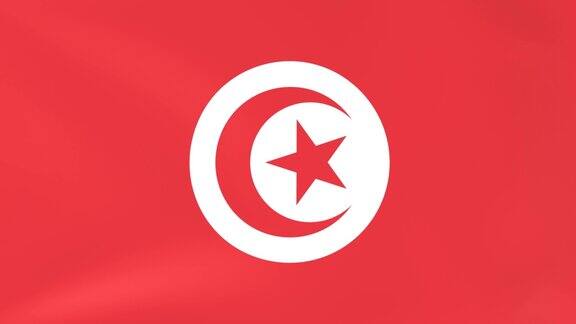 突尼斯国旗在风中飘扬的3DCG视频