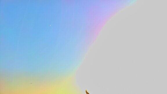 《飞越彩虹天空的鸟》