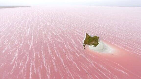 航拍的一个小岛与一个白色的架子在粉红色的斯瓦什湖在夏天