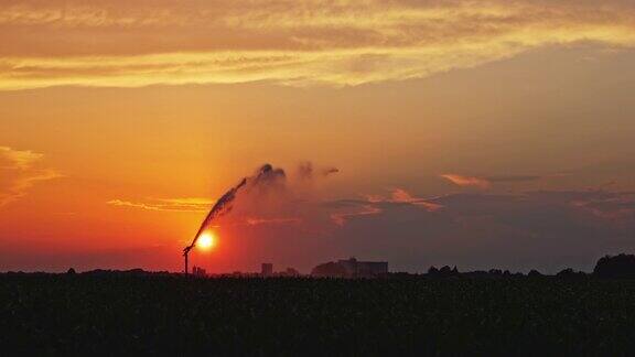 日落时给玉米田浇水