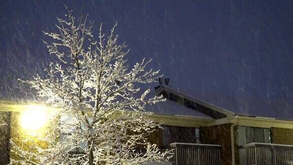 夜飘花灯街在冬天的夜晚花灯亮着雪落了
