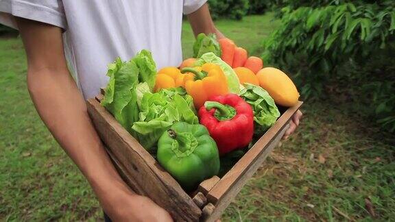 农民从有机农场运送新鲜蔬菜产品