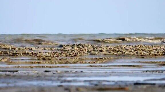 海浪在肮脏的沙滩上翻滚