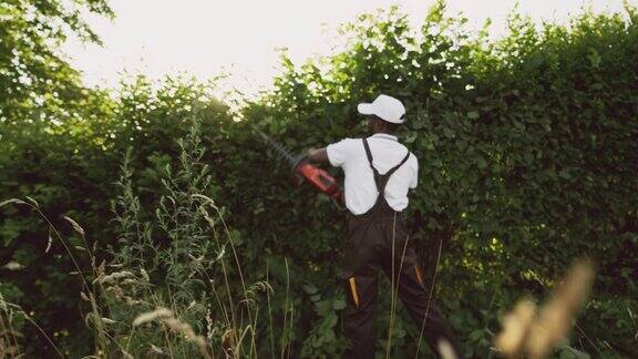 美国黑人园丁正在砍伐灌木