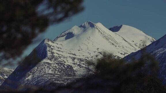 户外:森林和雪山