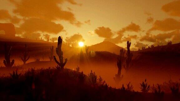 撒瓜罗仙人掌在沙漠中对抗美丽的早晨太阳平移和缩小