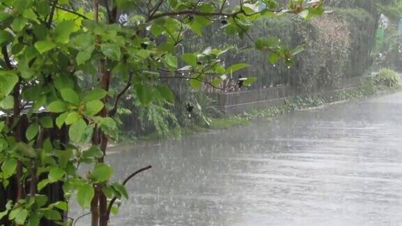 日本7月大雨