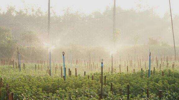 洒水器在花园里洒水水对人类和农业都是有用的田间喷灌系统工作喷头旋转伴水溅