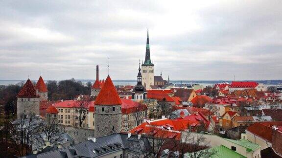 老城的景色爱沙尼亚塔林