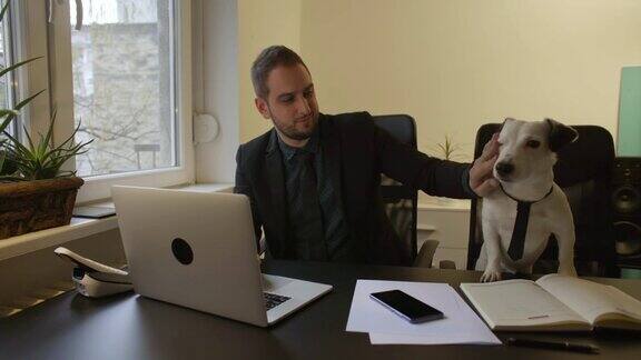 快乐的商人在办公室用笔记本电脑工作旁边是一条系着领带的狗