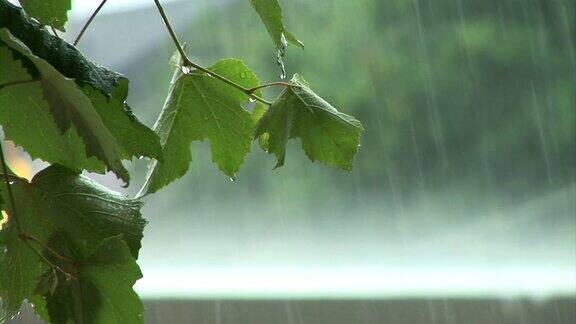 高清:暴风雨天气