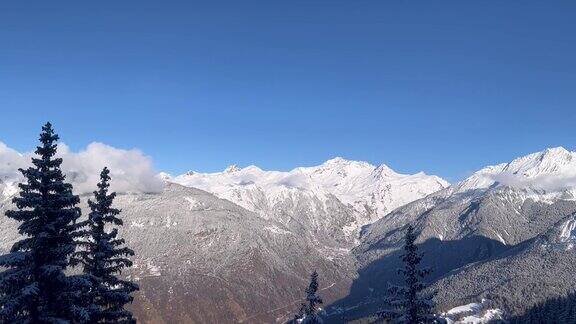 松树和雪山在美丽的云朵下