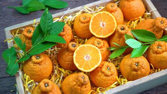 橙子水果与橙子片和树叶在木箱德科朋橘子或相扑柑橘与树叶在花园里