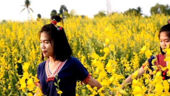 日落时分女孩们在田野里欣赏马尾莲花
