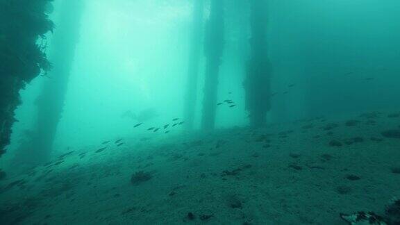 一名戴水肺的潜水员在海底塔附近的码头下游泳