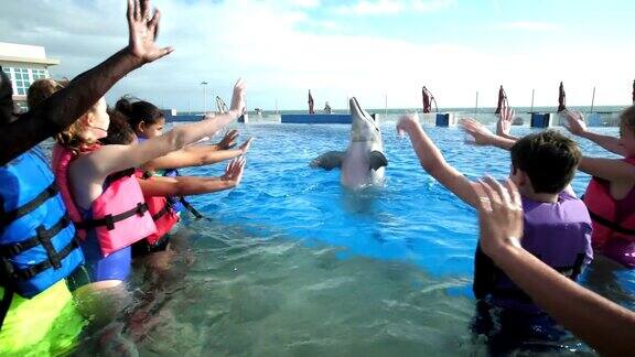 孩子和教练与海豚在水中挥手