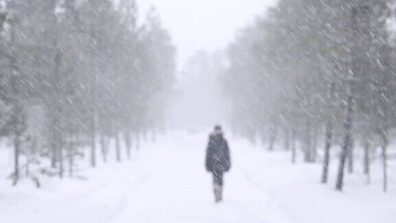 在大雪中散步的人