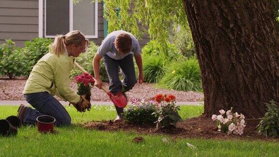 母亲和儿子在院子里种花
