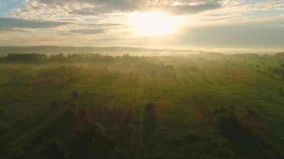 飞过绿油油的草地和树木在薄雾中背对着太阳鸟瞰图