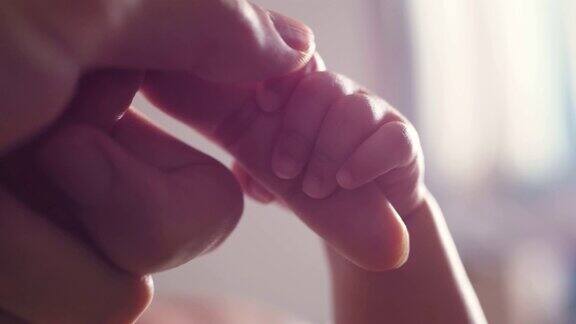 新生的婴儿牵着父亲的手