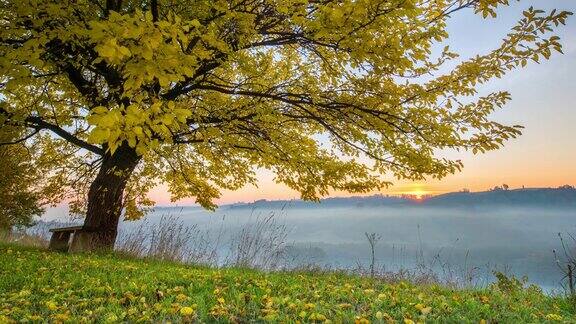 田园诗般的秋天日出