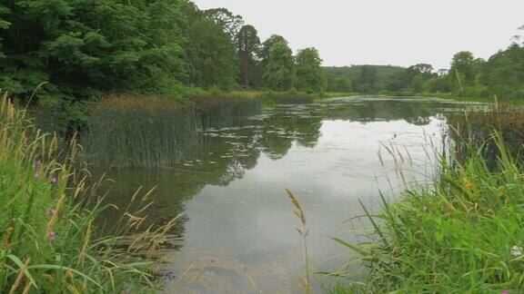 北爱尔兰夏日乡村池塘的全景
