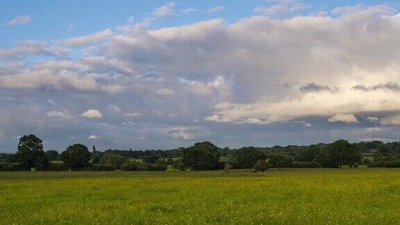 英格兰的绿草地背景