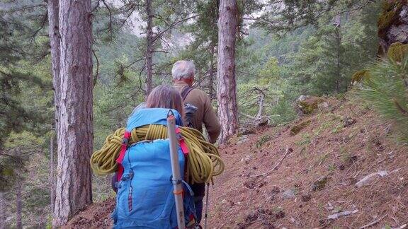 成功的登山队在开始登山之前要在森林中的一条小径上行走