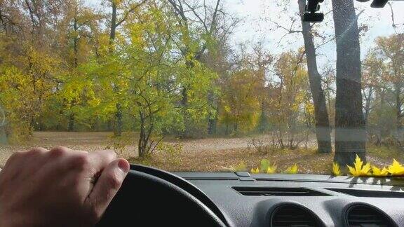 黄色的秋叶在汽车前玻璃上雨刷上的黄叶从车里看