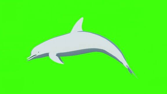 一只卡通海豚一只被隔离在绿色背景上的2d海豚一只卡通灰海豚的动画