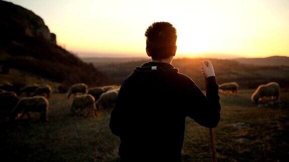 一群羊和少年牧羊人在黄昏的山上吃草