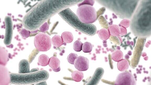 在肠道中漂浮的有益微生物健康的微生物群