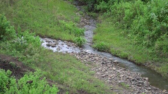 在4K中一个流动的小溪被绿色包围的美丽景色