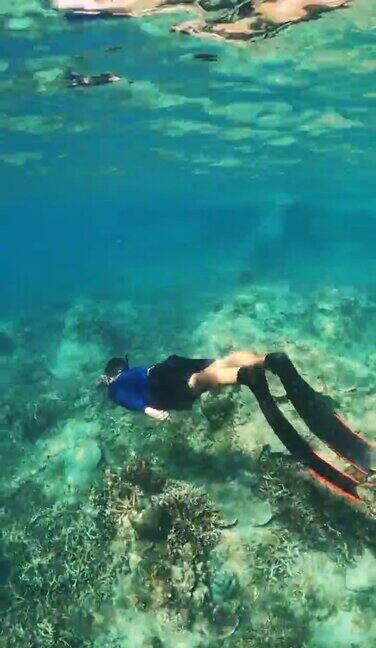 年轻的亚洲男子自由潜水穿着长鳍潜水在清澈的海水珊瑚礁海洋
