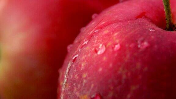 一滴水珠顺着成熟的红苹果流下来