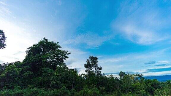 热带森林和蓝天在早上时间流逝视频