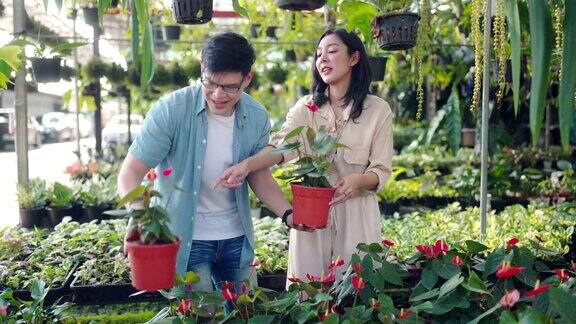 4K亚洲夫妇在植物店一起挑选和购买盆栽