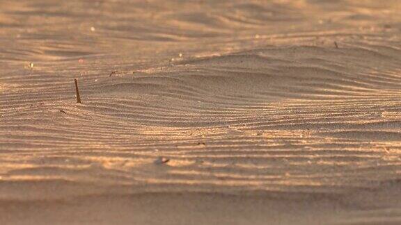有风的一天城堡的海滩沙丘-巴塞罗那