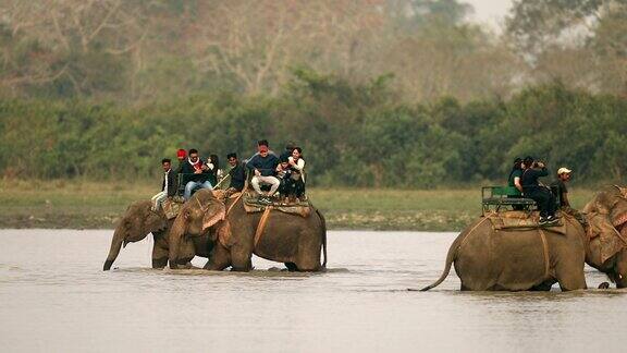 游客们在印度国家公园里享受大象狩猎之旅