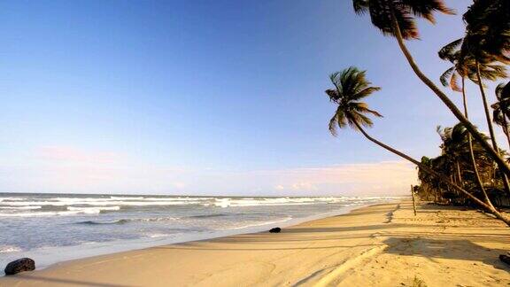 田园诗般的热带加勒比岛屿海滩椰子树沙滩和海浪在日落时间