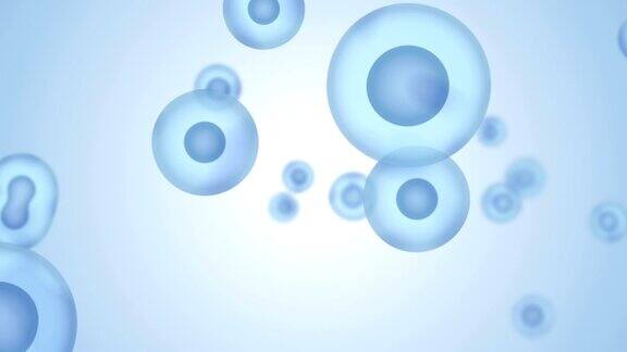 二元裂变细胞分裂鞭式平移无缝循环蓝运动图形