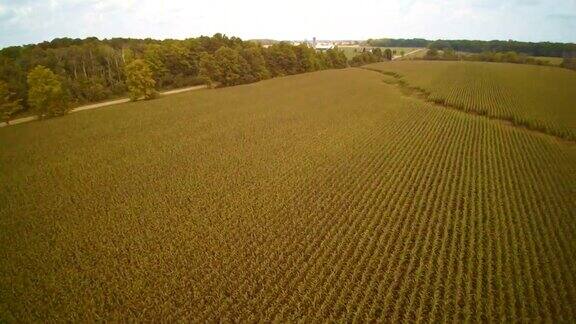 风力发电厂在玉米田在安大略省加拿大空中无人机视频