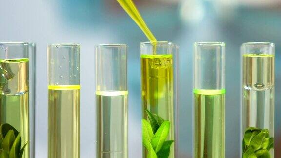 生物学家在试管中向植物添加黄色液体对人类环境造成影响