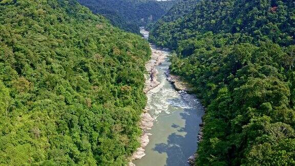 有花岗岩河床和热带森林覆盖的丘陵的山间河流