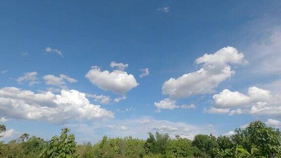 夏日里美丽天空上的云朵和树木在阳光的吹拂中移动